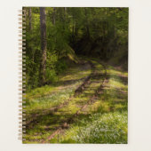 Chemin de fer abandonné dans une forêt (Devant)