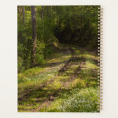 Chemin de fer abandonné dans une forêt (Dos)