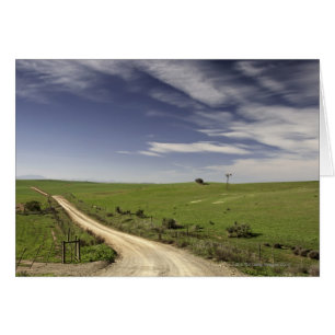 Chemin de ferme en lacets entre les champs de blé,