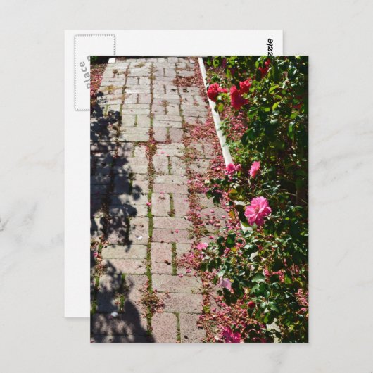 Chemin de la carte postale Rose (Devant / Derrière)