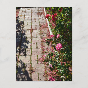 Chemin de la carte postale Rose