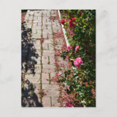 Chemin de la carte postale Rose (Devant)