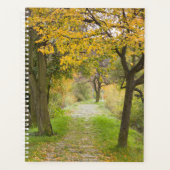 Chemin de l'automne (Devant)