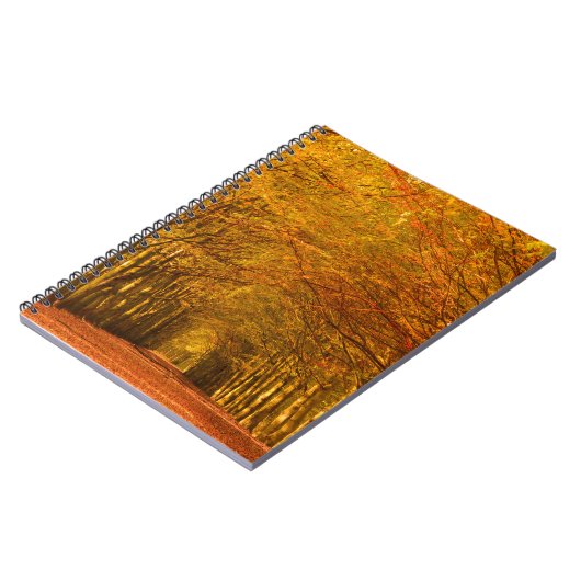 Chemin de marche à travers la forêt dans le carnet (Côté gauche)