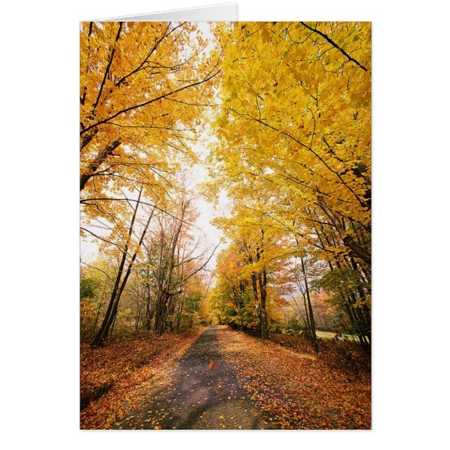 Chemin de marche du Foliage d'automne (Devant)