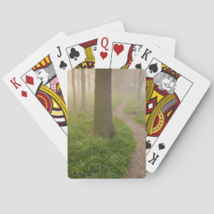 Chemin de marche menant dans des cartes de jeu de
