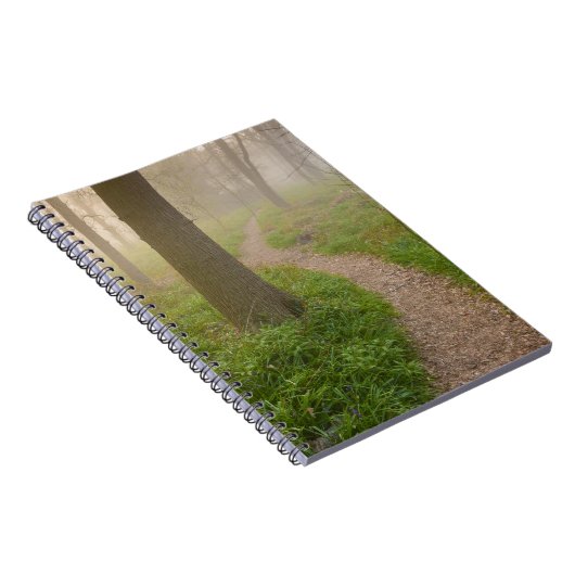 Chemin de marche menant dans un carnet de forêt (Côté Droit)