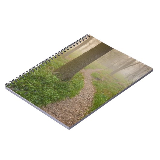 Chemin de marche menant dans un carnet de forêt (Côté gauche)