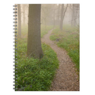Chemin de marche menant dans un carnet de forêt