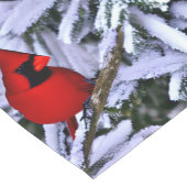 Chemin De Table Court Cardinal rouge d'hiver (Coin)