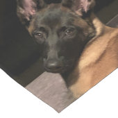 Chemin De Table Court Chien malinois (Coin)