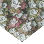 Chemin De Table Court Sedum Spathulifolium Succulents Floral (Coin)
