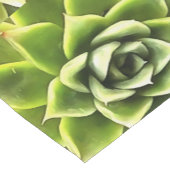 Chemin De Table Court Vert Succulent Gros Plan Cactus (Coin)