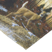 Chemin De Table Court Whitetail Deer Doe dans la forêt d'automne (Coin)