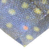 Chemin De Table Long Brook Trout Scales Photographie (Coin)