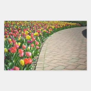 Chemin de tulipe en fleurs - beau autocollant