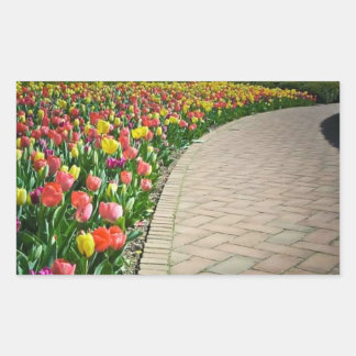 Chemin de tulipe en fleurs - beau autocollant