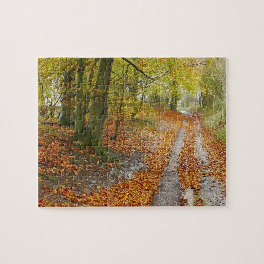 Chemin du Berkshire Ouest dans le Puzzle d'automne (Horizontal)