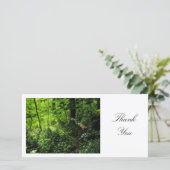 Chemin du bois - Merci (Debout devant)