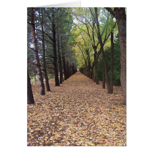 Chemin du Colorado (Devant)