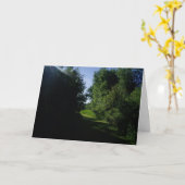 "Chemin du pâturage du lever du soleil" Carte du p (Fleur jaune)