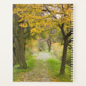 Chemin en automne (Dos)