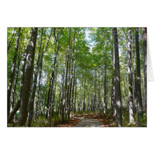 Chemin en bois centenaire II Ellicott City Marylan