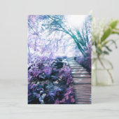 chemin enchanté de la carte mémoire (Debout devant)