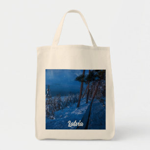 Chemin forestier au sac fourre-tout de nuit d'hive