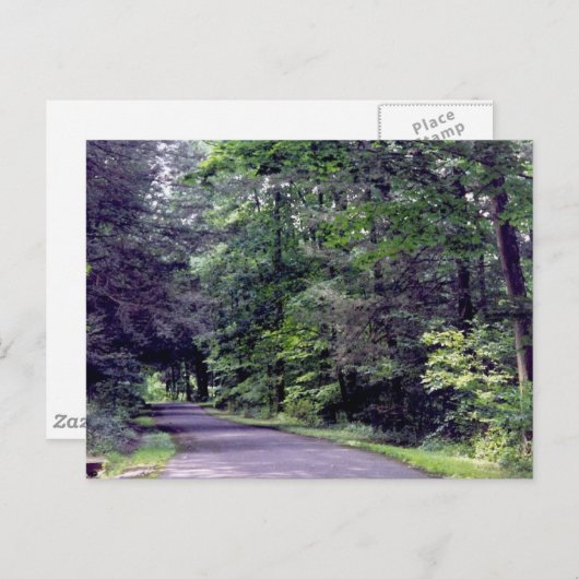 Chemin forestier - carte postale (Devant / Derrière)