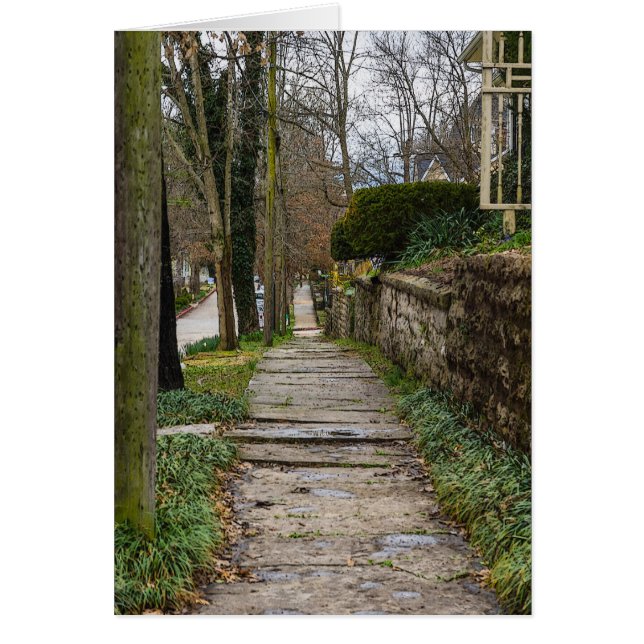 Chemin inégal (Devant)