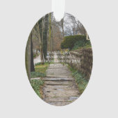 Chemin inégal (devant)