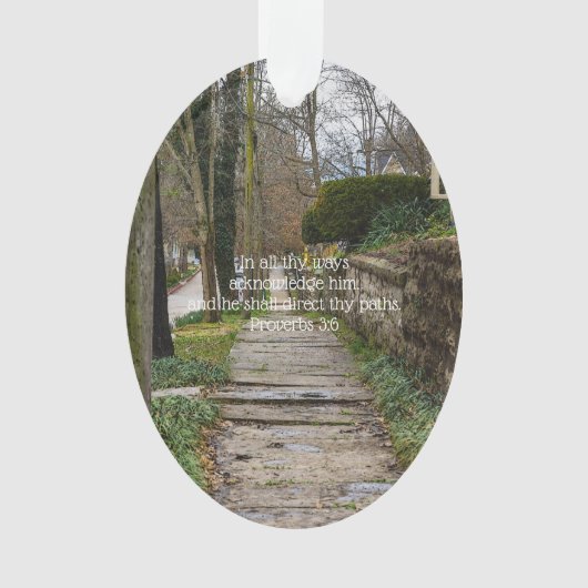 Chemin inégal (devant)