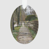 Chemin inégal (dos)