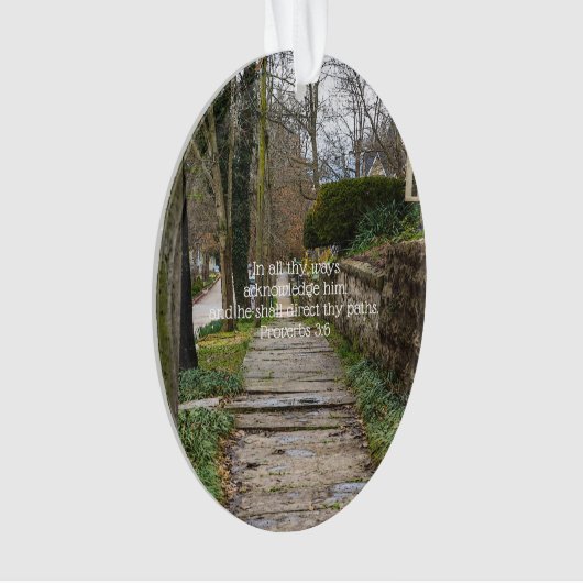 Chemin inégal (devant)