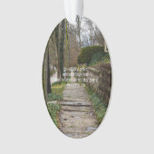 Chemin inégal (devant)