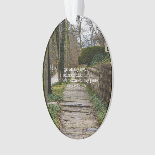 Chemin inégal (devant)