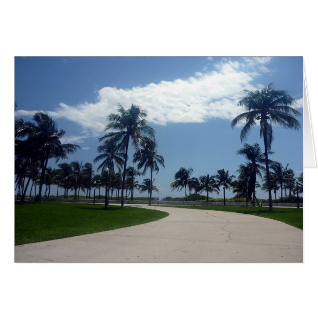 chemin miami (Devant horizontal)