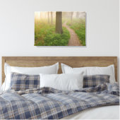 Chemin piétonnier menant à une toile de forêt (Insitu(Chambre))