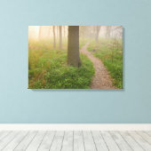 Chemin piétonnier menant à une toile de forêt (Insitu (Plancher de Bois))