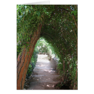 Chemin secret dans le jardin de Gaudi - Carte phot