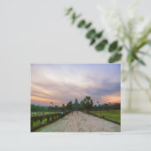 Chemin vers Angkor Wat, Cambodge Carte postale (Debout devant)