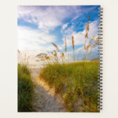 Chemin vers la plage (Dos)
