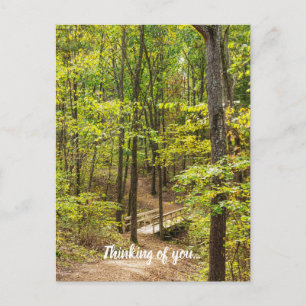 Chemin Vers Le Pont Penser À Votre Carte Postale
