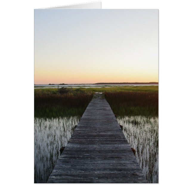 Chemin vulnérable II (Devant)