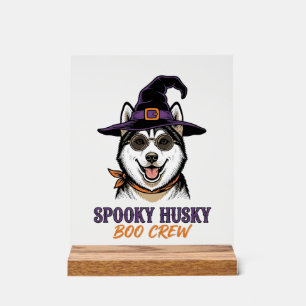 Chemise de Husky Halloween Sorcière Chien Graphiqu