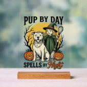 Chemise de sorcière de chien d'Halloween Gravure v (Neutre)