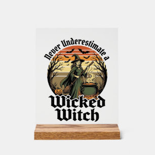 Chemise de sorcière drôle Gravure vintage Hallowee