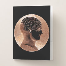 Antique Style Golden Mind Phrenologie tête Cranium