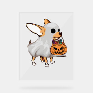 Chemise Halloween du Citrouille fantôme du Chihuah